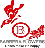 barrera flowers